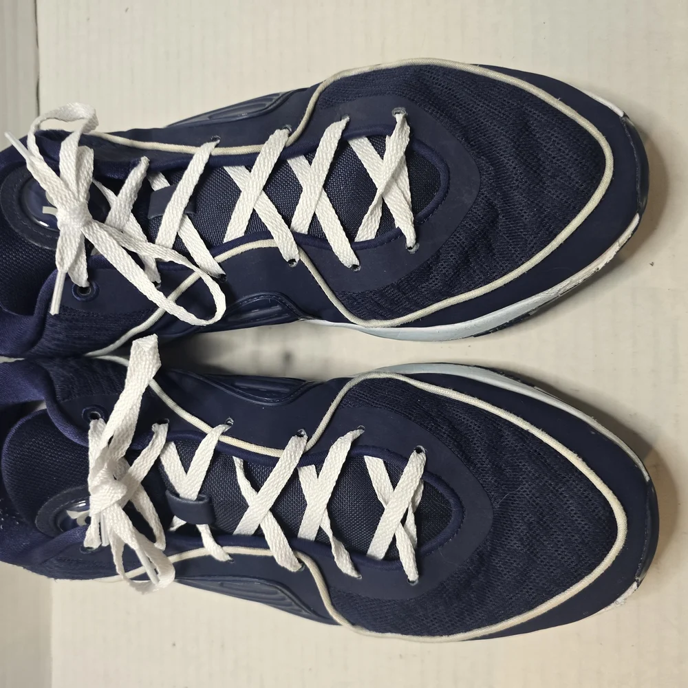 Nike Blue and White Athletic Shoes with‎ Streamlined Design